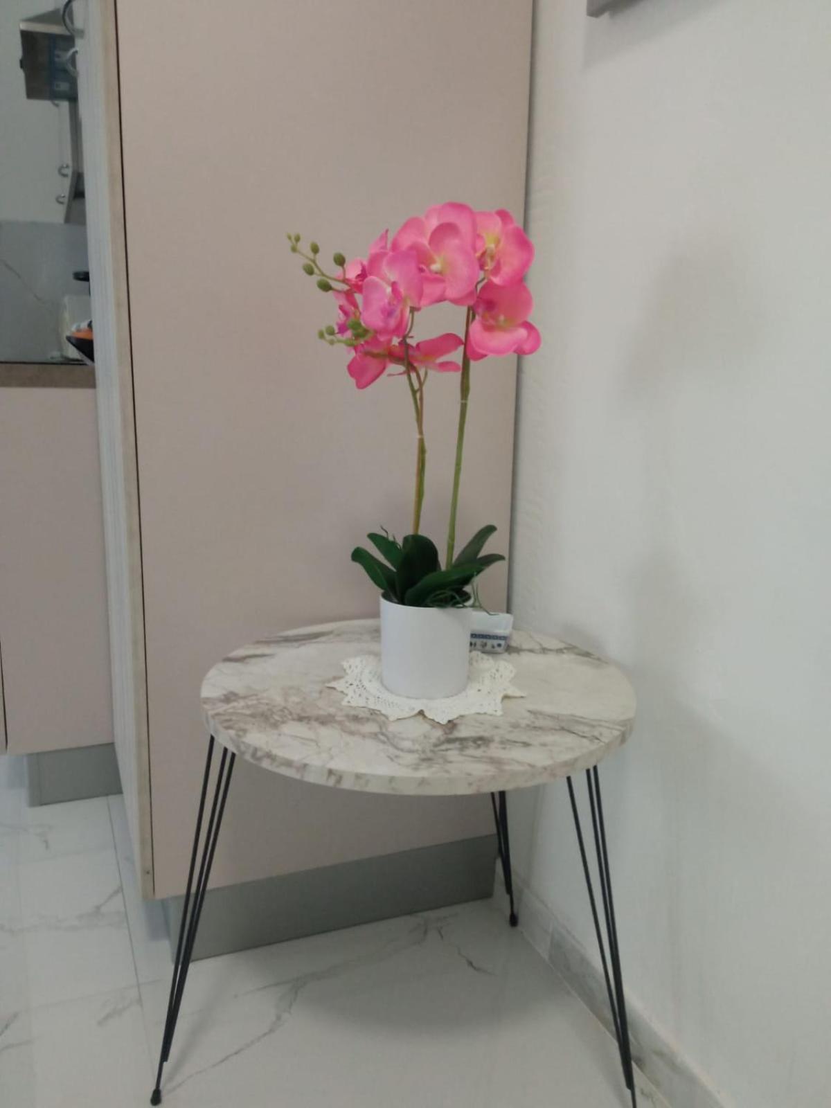 Wh - Dolce Vita - Bilocale - 5 Minuti Dal Centro - Parcheggio Gratuito - Wifi San Remo Exterior foto